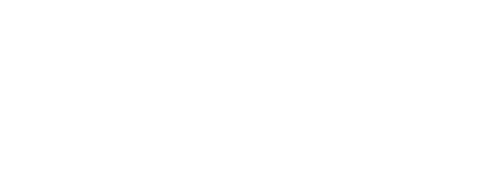 Beratungsstelle Netz Logo Netz weiss RGB